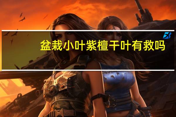 盆栽小叶紫檀干叶有救吗