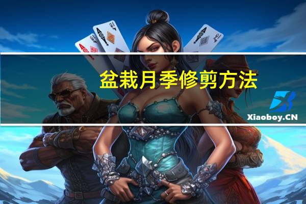 盆栽月季修剪方法