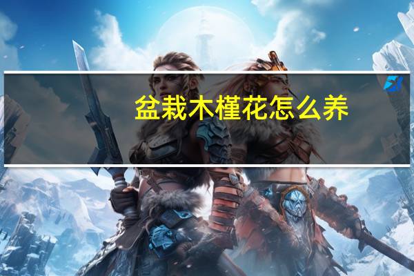 盆栽木槿花怎么养