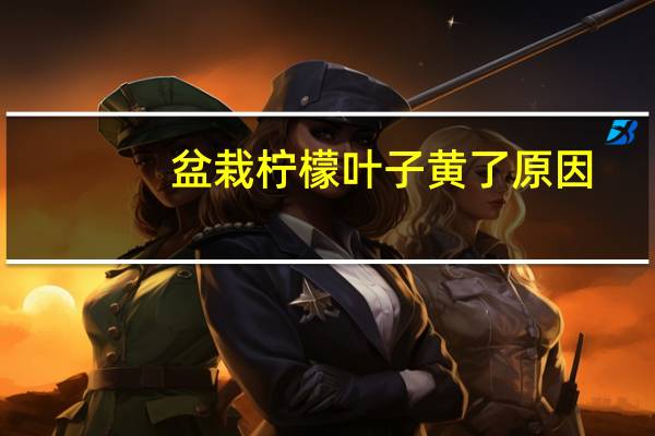 盆栽柠檬叶子黄了原因