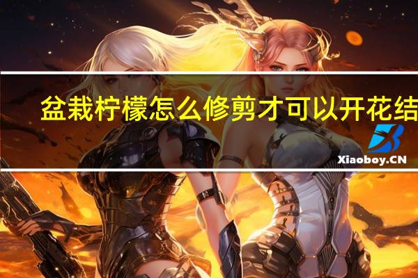 盆栽柠檬怎么修剪才可以开花结果