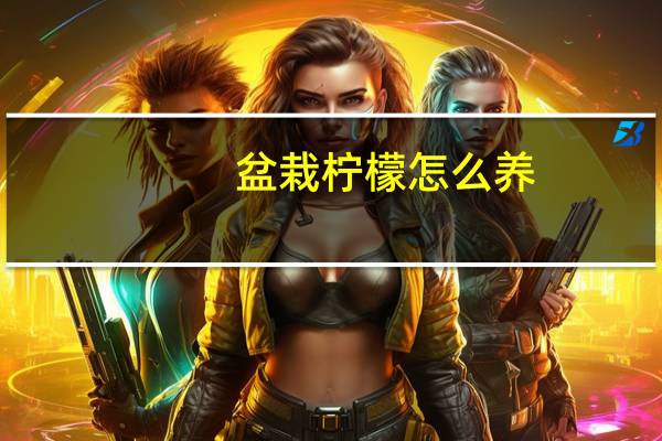 盆栽柠檬怎么养