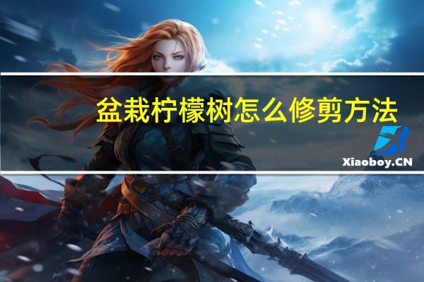 盆栽柠檬树怎么修剪方法