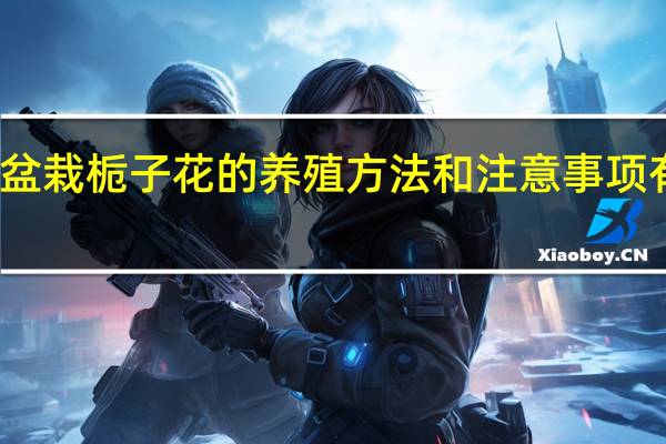 盆栽栀子花的养殖方法和注意事项有哪些