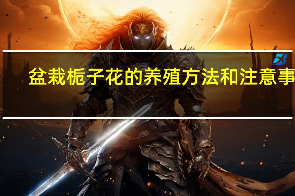 盆栽栀子花的养殖方法和注意事项（盆栽栀子花的养殖方法）