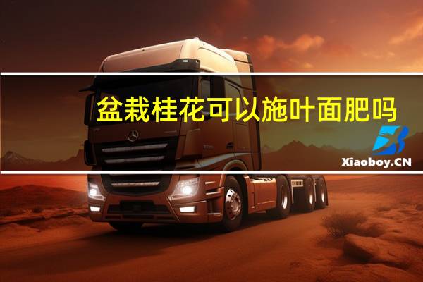 盆栽桂花可以施叶面肥吗
