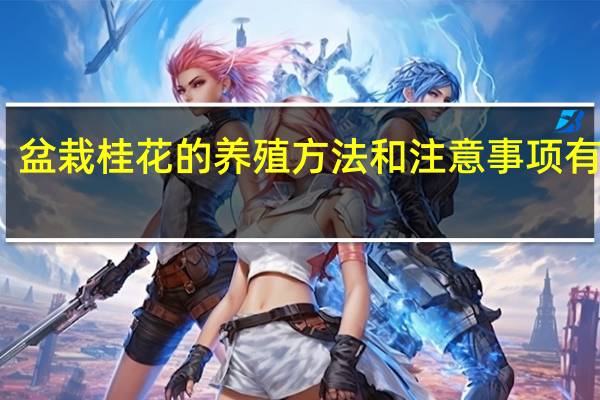 盆栽桂花的养殖方法和注意事项有哪些