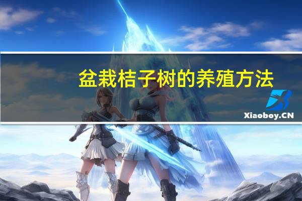盆栽桔子树的养殖方法：置于光照充足、通风良好的场所养护