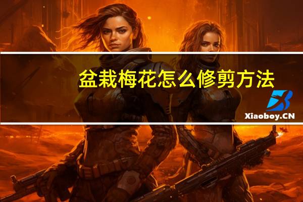盆栽梅花怎么修剪方法