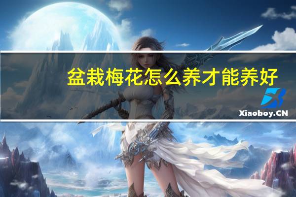 盆栽梅花怎么养才能养好