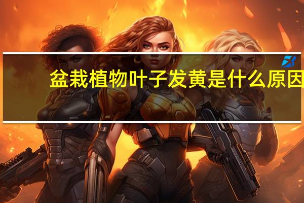 盆栽植物叶子发黄是什么原因