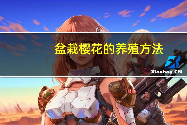 盆栽樱花的养殖方法