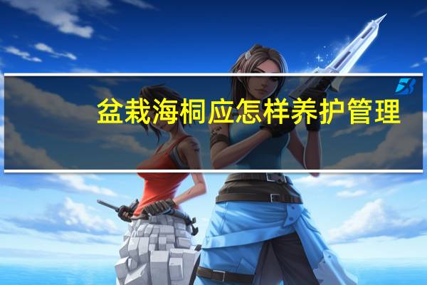 盆栽海桐应怎样养护管理