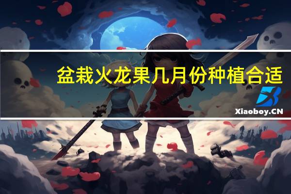 盆栽火龙果几月份种植合适
