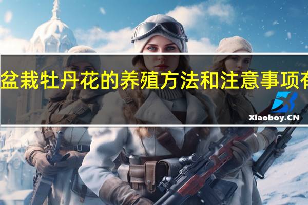 盆栽牡丹花的养殖方法和注意事项有哪些