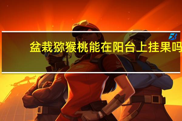 盆栽猕猴桃能在阳台上挂果吗
