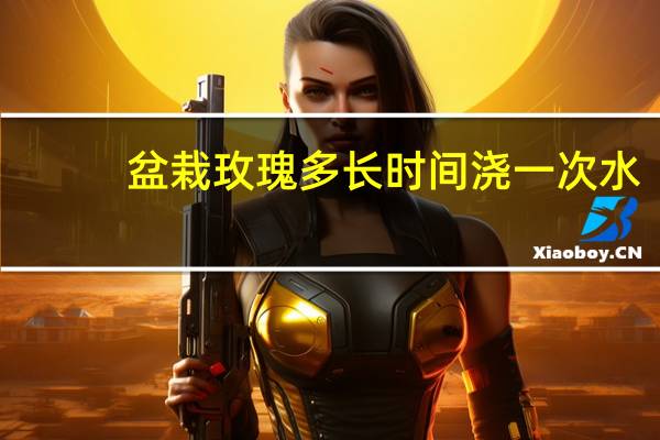 盆栽玫瑰多长时间浇一次水