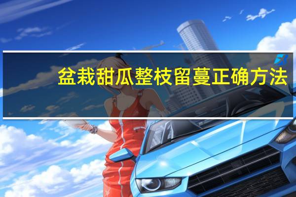 盆栽甜瓜整枝留蔓正确方法