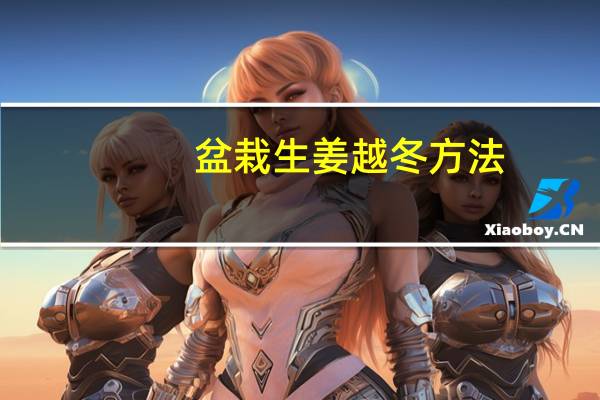 盆栽生姜越冬方法