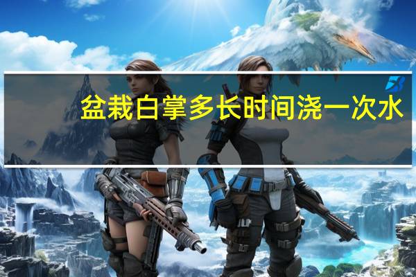 盆栽白掌多长时间浇一次水