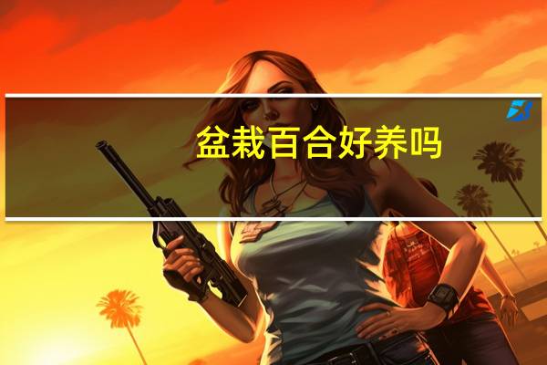 盆栽百合好养吗
