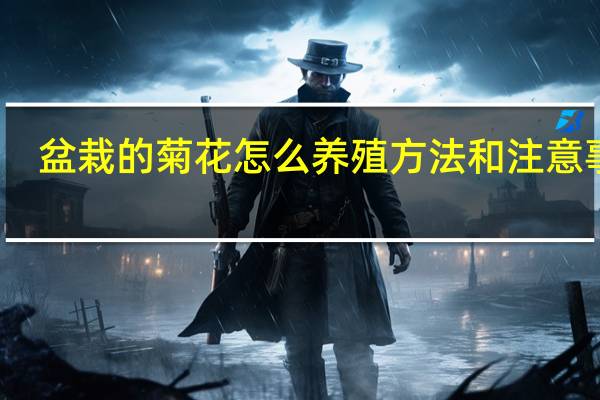 盆栽的菊花怎么养殖方法和注意事项