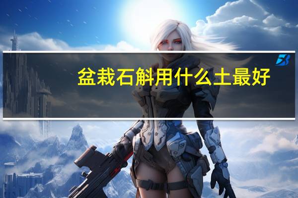 盆栽石斛用什么土最好