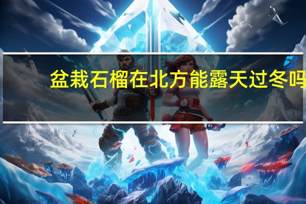 盆栽石榴在北方能露天过冬吗