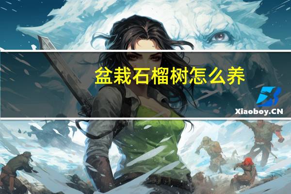 盆栽石榴树怎么养