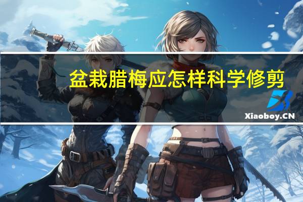盆栽腊梅应怎样科学修剪