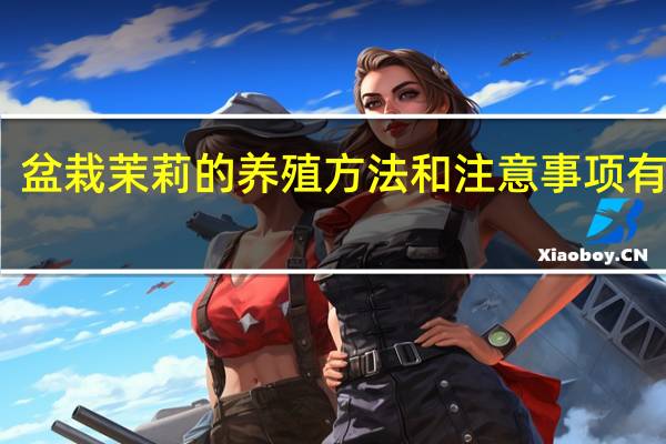 盆栽茉莉的养殖方法和注意事项有哪些