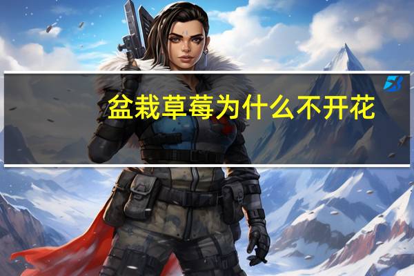 盆栽草莓为什么不开花