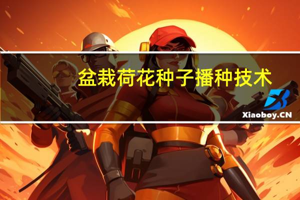 盆栽荷花种子播种技术