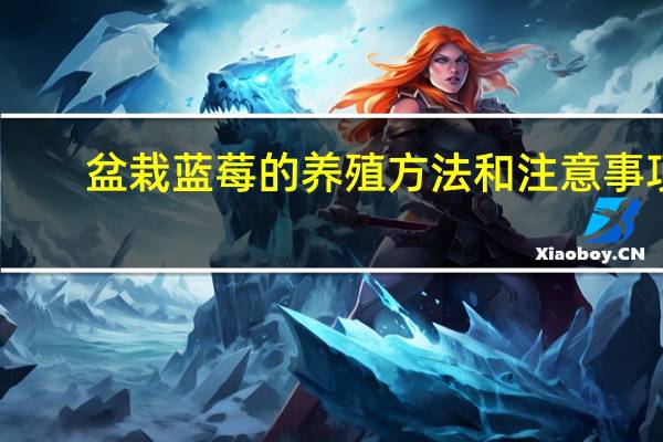 盆栽蓝莓的养殖方法和注意事项