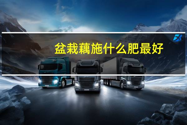 盆栽藕施什么肥最好