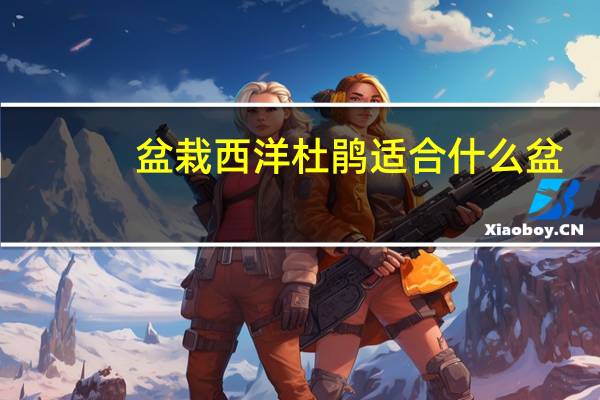 盆栽西洋杜鹃适合什么盆