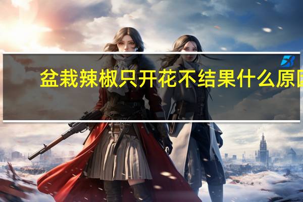 盆栽辣椒只开花不结果什么原因