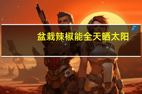 盆栽辣椒能全天晒太阳