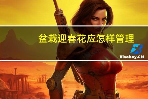 盆栽迎春花应怎样管理
