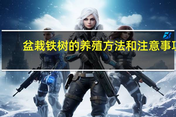 盆栽铁树的养殖方法和注意事项
