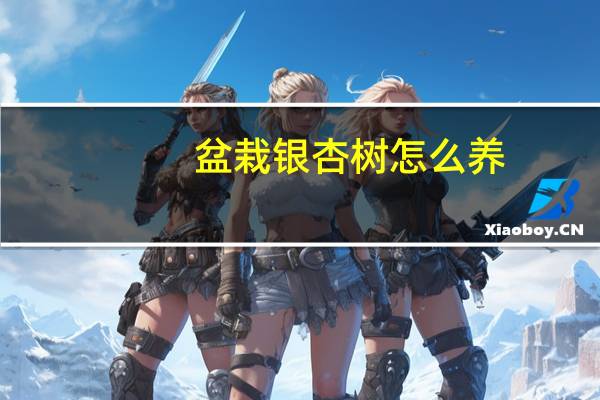盆栽银杏树怎么养：银杏树为喜光树种