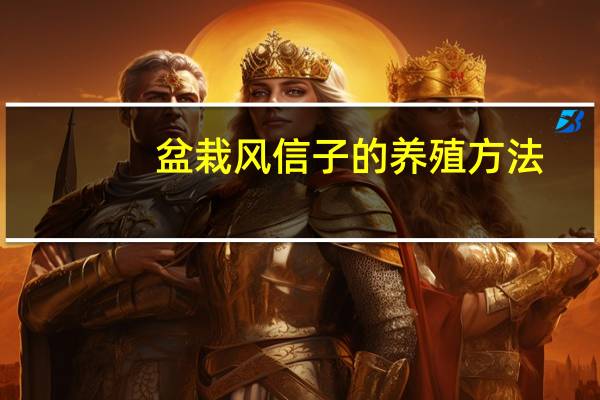 盆栽风信子的养殖方法