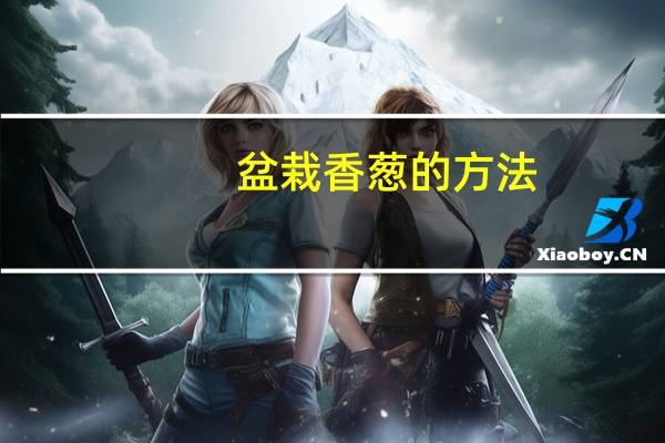 盆栽香葱的方法:香葱的根系比较浅要用疏松透气的土壤