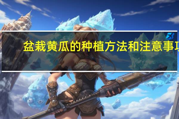 盆栽黄瓜的种植方法和注意事项