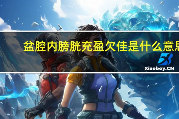 盆腔内膀胱充盈欠佳是什么意思（膀胱充盈欠佳是什么意思）