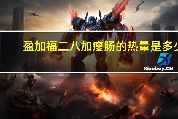 盈加福 二八加瘦肠的热量是多少