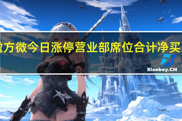 盈方微今日涨停营业部席位合计净买入9210.71万元