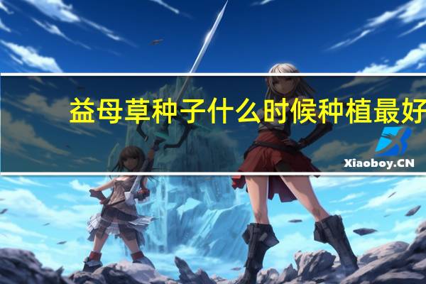 益母草种子什么时候种植最好
