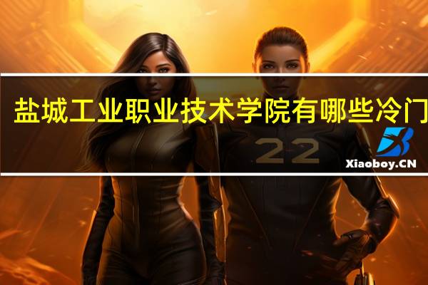 盐城工业职业技术学院有哪些冷门专业