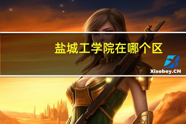 盐城工学院在哪个区